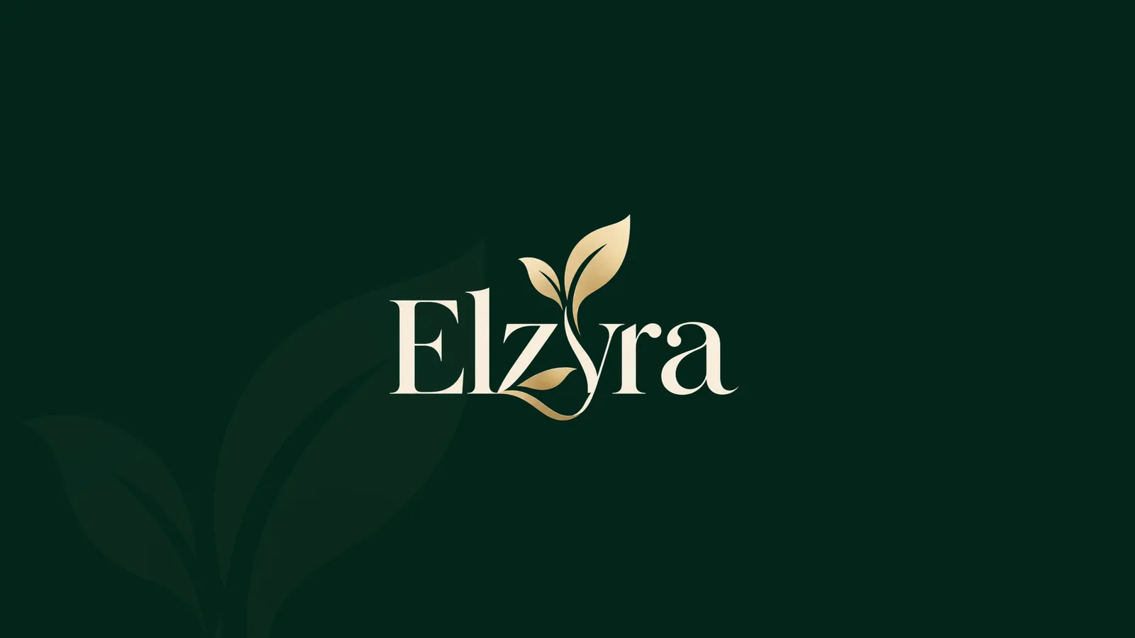 Elzyra logo